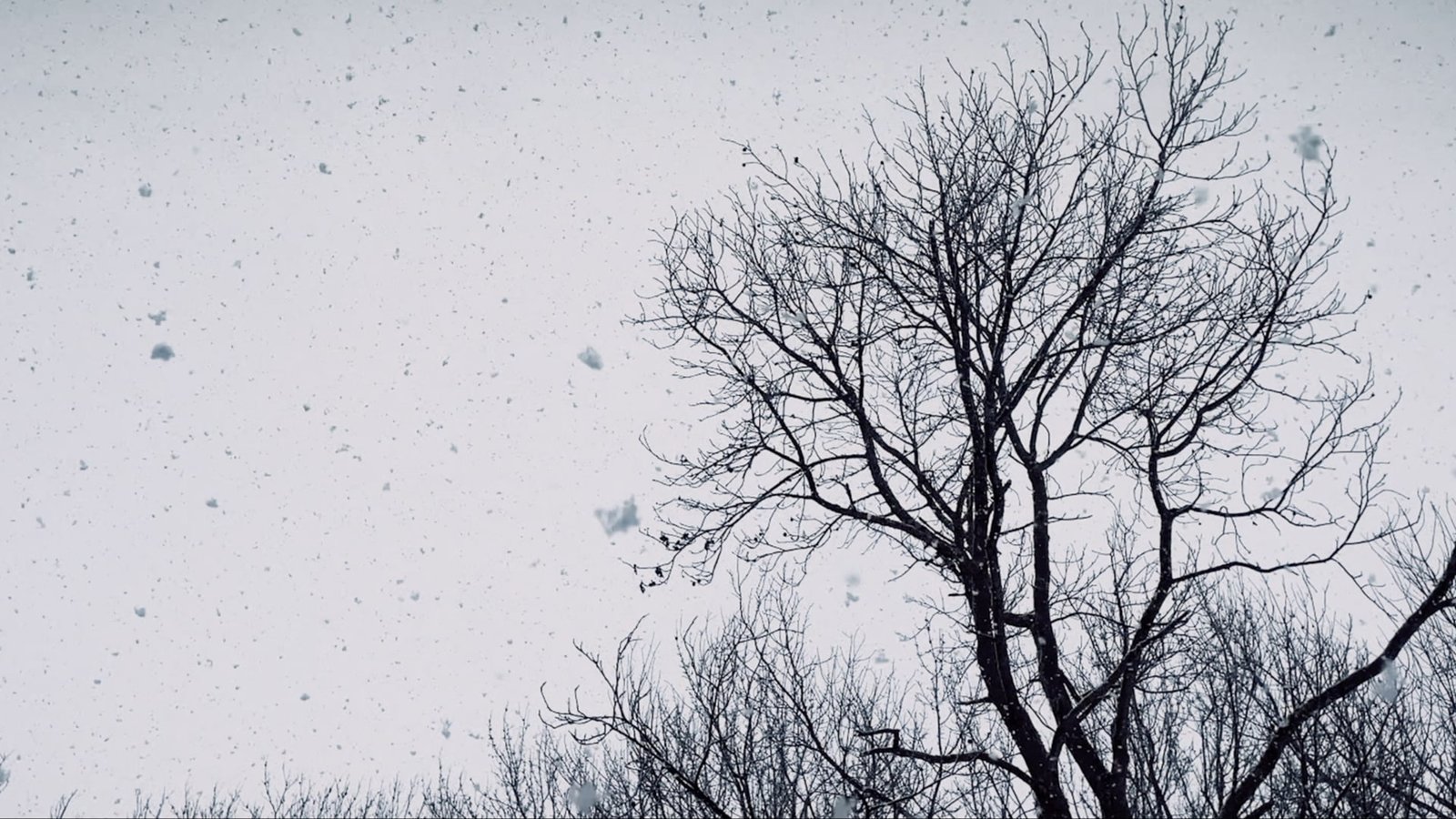 Piano Sonata - Cold Winter