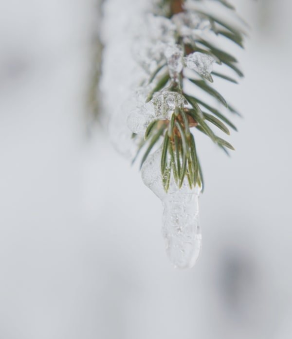 Piano Sonata - Cold Winter